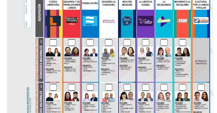 La opinión de candidatos de Neuquén sobre las reformas que propone Javier Milei al Congreso