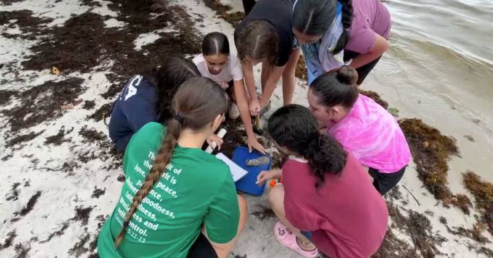 Students dive into science with hands-on lesson on Indian River Lagoon