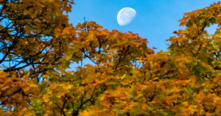 Breezy, dry Friday in Twin Cities before rain returns Sunday