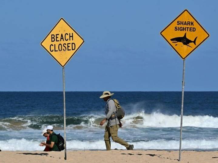 Australia fends off shark bites with new tech and old