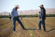 The Democratic Party’s war on California farms