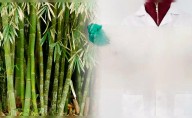 Adiós al plástico contaminante: China desarrolla un revolucionario material biodegradable y ultra resistente