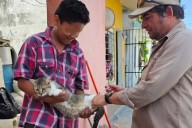 Vacunación antirrábica gratuita en Campeche este jueves: Horarios, municipios y puntos de aplicación