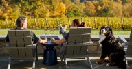 6 Cozy Wine Experiences to Discover This Fall