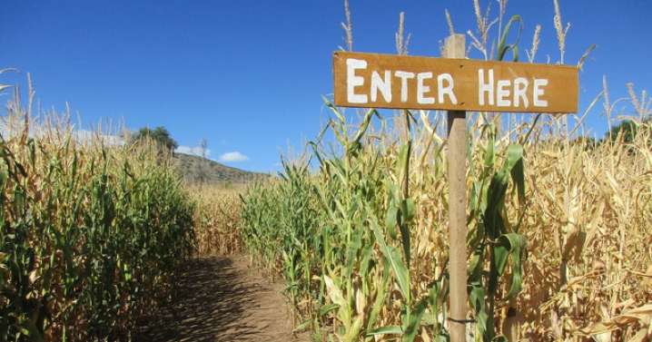 7 best things to do in Colorado this weekend: Oct. 10
