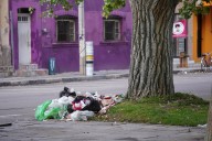 Pepena, de las principales quejas en Durango capital