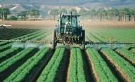 Agroindustria y pymes: La Rioja expuso su experiencia en el Senado