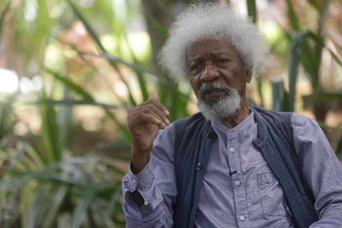 Nigeria's Nobel-winning author Wole Soyinka says his US visa was revoked