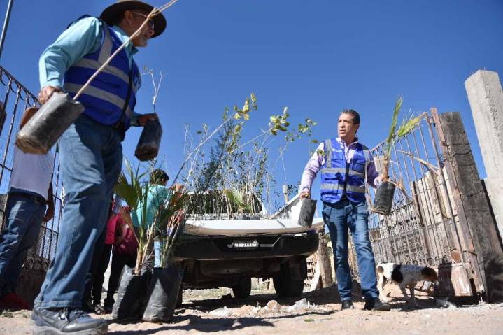 Entrega Estado árboles a familias de Los Kilómetros