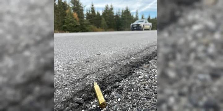 Officers Investigating Moose Poaching Incident on Northern Peninsula