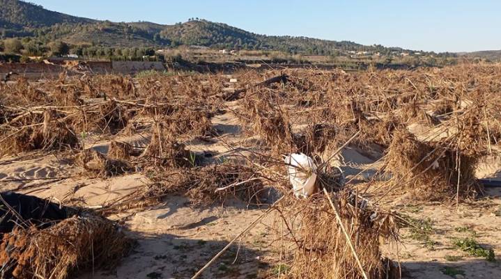 Cristóbal Aguado: Recordemos y preparémonos para futuras riadas
