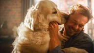 Heartwarming: Dog Finally Reunited With Owner Who Left For 30 Seconds To Grab The Mail