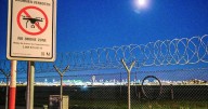 German airport closed again after drone sightings