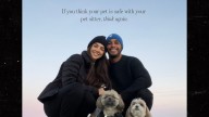 HGTV Couple Claims Pet-Sitter Covered Up Pooch's Brutal Death by Bigger Dog