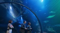 Atresmedia Sales: AXN Japan Deal for 'Una vida menos en Canarias'