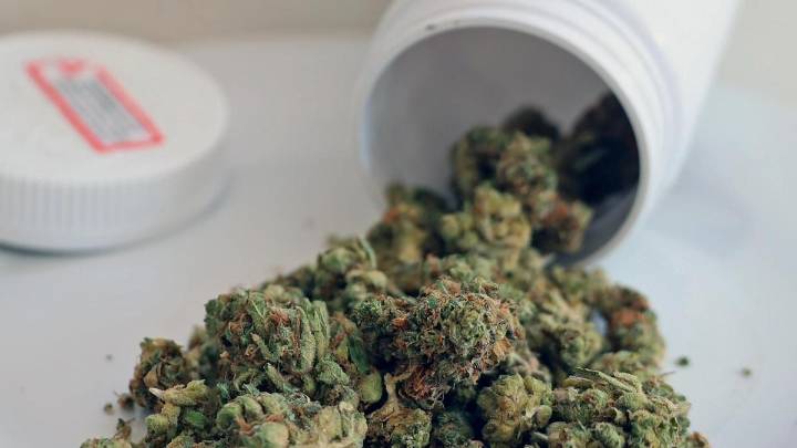 Authorities urged to crack down on medicinal cannabis scripts after surge in hospitalisations