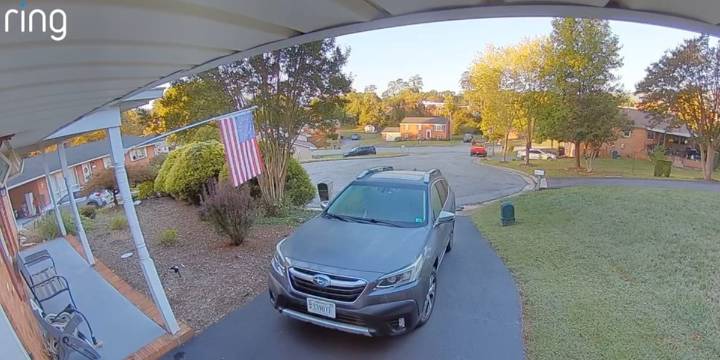 Woman injured in Glenvar dog attack