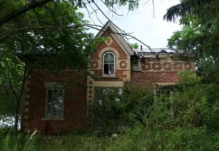 Ray of Sunshine found in abandoned Halton Region house
