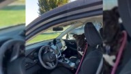 Washington Volunteer Took A Shelter Pup On A Day Out And What Happened Next Left Everyone In Tears