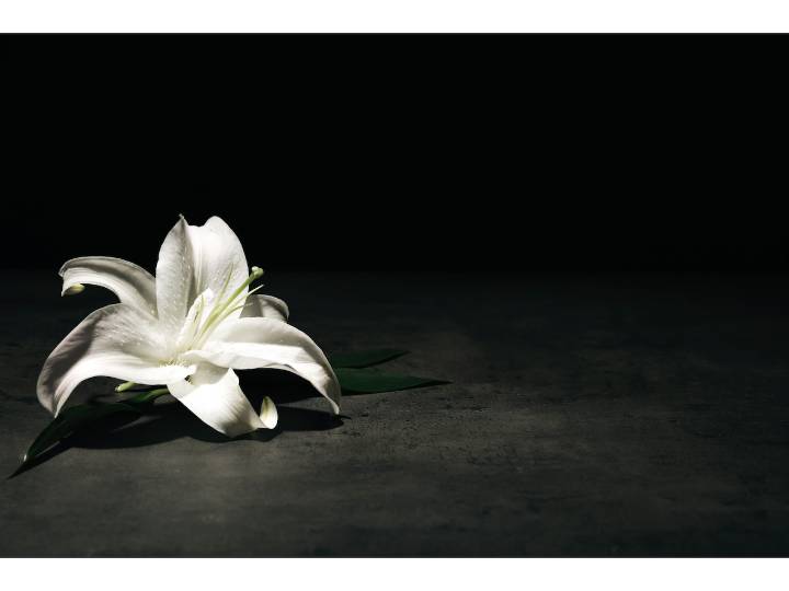 Hints from Heloise: Hospitals don’t want funeral flowers