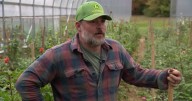 Farmer pays it forward with free food for families losing SNAP benefits