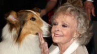 June Lockhart: su Trayectoria en un Recorrido de 13 Imágenes (de 1944 a 2014)