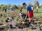 'End of the beginning' for Napanee's first Little Forest project