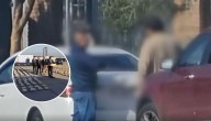 Pagaban con autos robados: desbaratan banda que trasladaba droga desde el norte del país