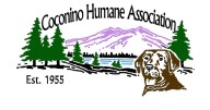 Coconino Humane Association and Flagstaff Subaru partner for pet adoption event on Oct. 25