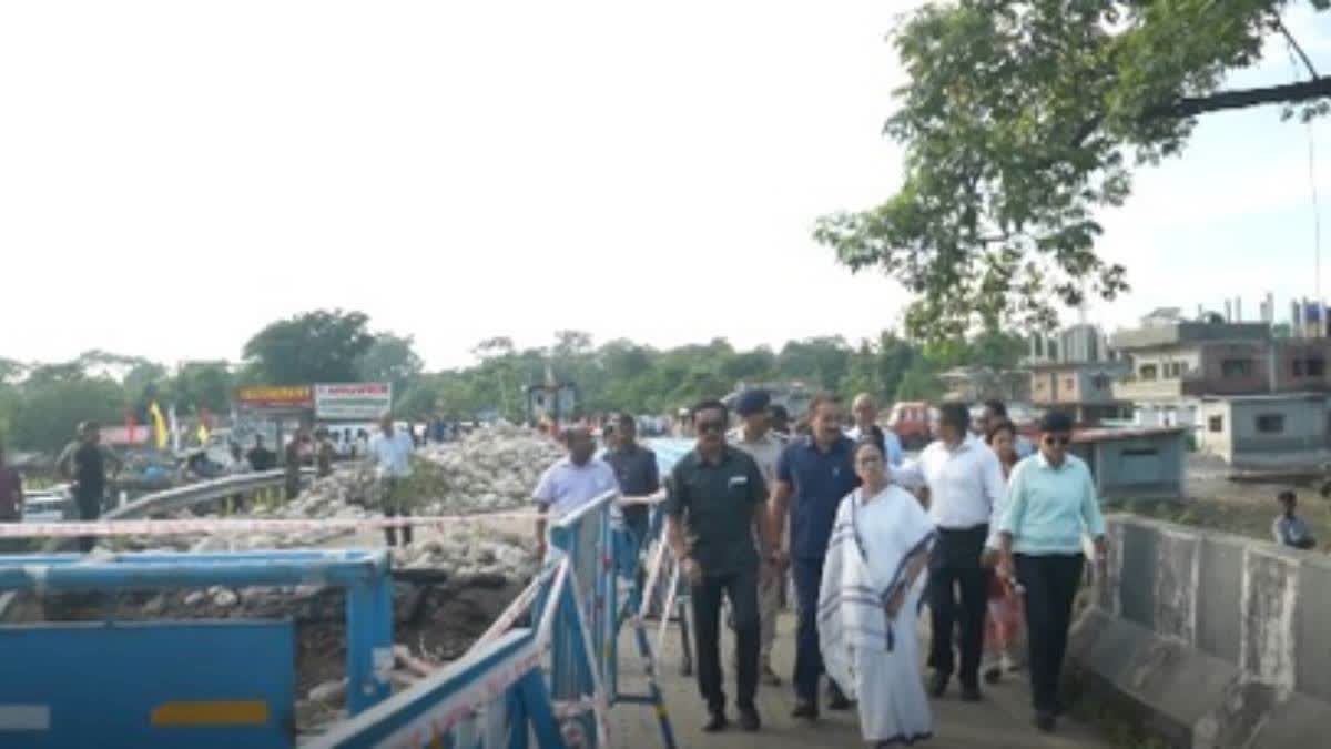 Bhutan Govt Should Compensate For North Bengal Floods: Mamata