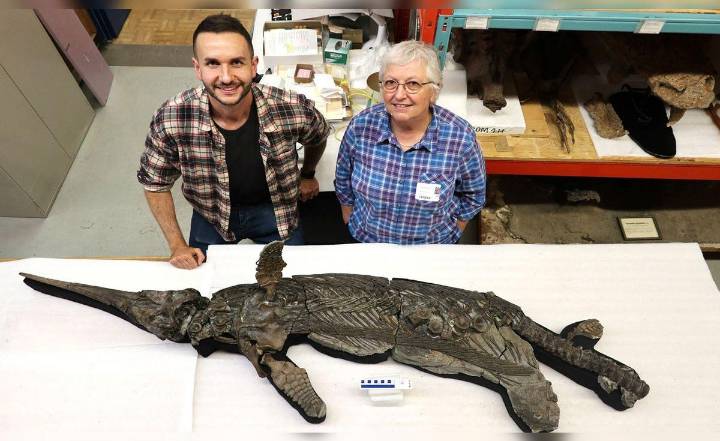 Reino Unido: Identifican al "dragón espada", una nueva especie de reptil marino prehistórico