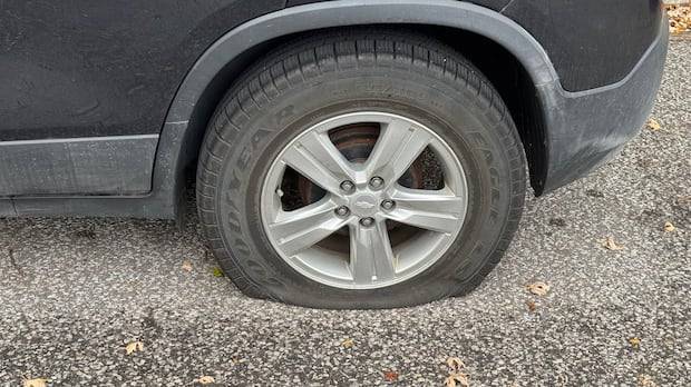 Arrest made after dozens of cars vandalized in Windsor neighbourhood