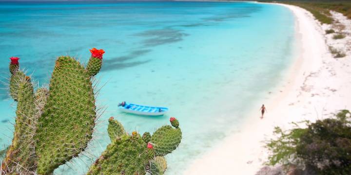 Más allá de Punta Cana: el destino emergente que marca tendencia en República Dominicana