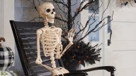 Pick your Halloween dream theme