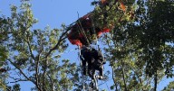 Instructor dies in Nashville skydiving incident; 2nd skydiver rescued from tree