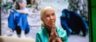 Murió Jane Goodall, la 'Lady Chimpancé', científica dedicada a la conservación de los primates