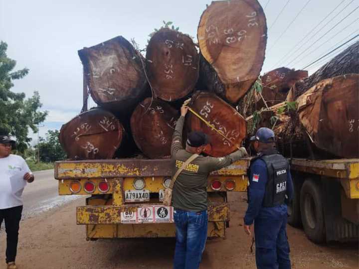 Confiscan productos forestales por violar Ley Orgánica del Ambiente