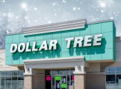 7 Best New Dollar Tree Winter Decor Finds Hitting Shelves