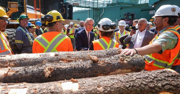 ‘We don’t know where we stand with the federal government’: Lumber industry reacts to new tariffs