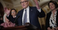 With shutdown, Democrats take a perilous risk at a precarious party moment
