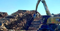 Boreal Springboard a boost for forestry