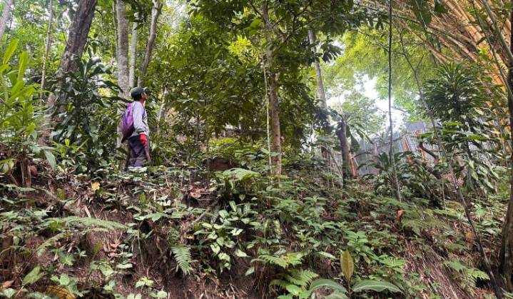 Moyobamba refuerza conservación de sus barrancos con nueva normativa y acciones conjuntas