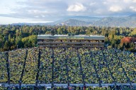 Wisconsin Badgers at Oregon Ducks: Live updates today