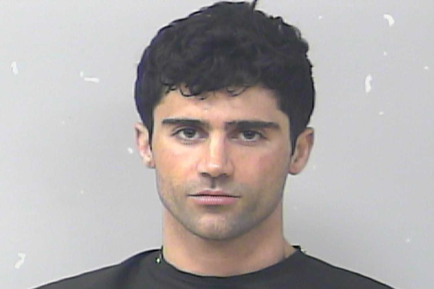 Demi Lovato's Ex-Fiancé Max Ehrich Arrested for Allegedly Attacking His Mom