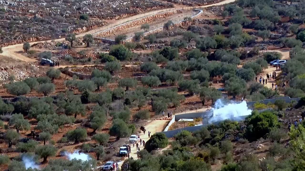 Israeli army disperses activists assisting farmers in West Bank olive harvest