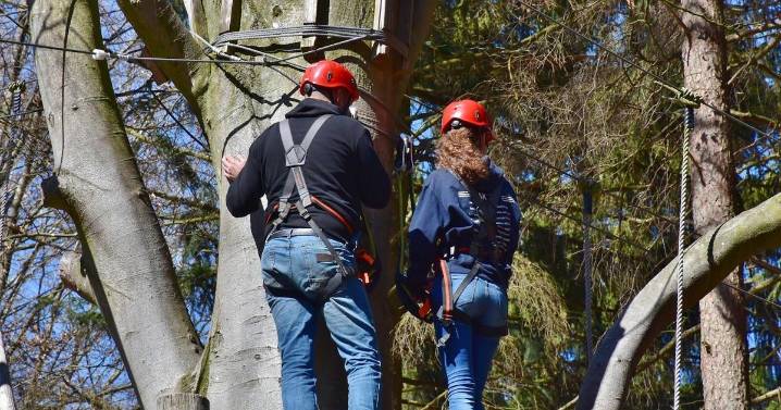 Trump aims to break up Forest Service, shift power over public lands