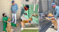 Retired judge uses therapy dogs to rehabilitate inmates