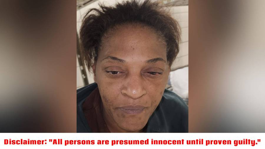 Baton Rouge mother accused of injuring 13