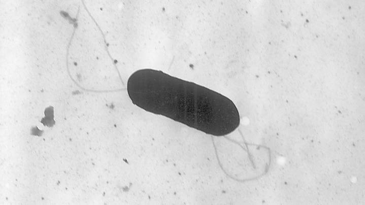 Listeria outbreak linked to ready-to-eat pasta meals leaves 2 more dead, 7 sickened