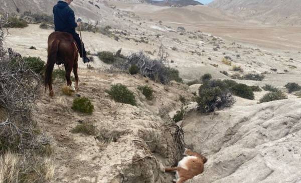 Sigue la búsqueda de la pareja desaparecida en Comodoro: Se recorrieron 12 kilómetros y 40 sumideros, y no hay rastros